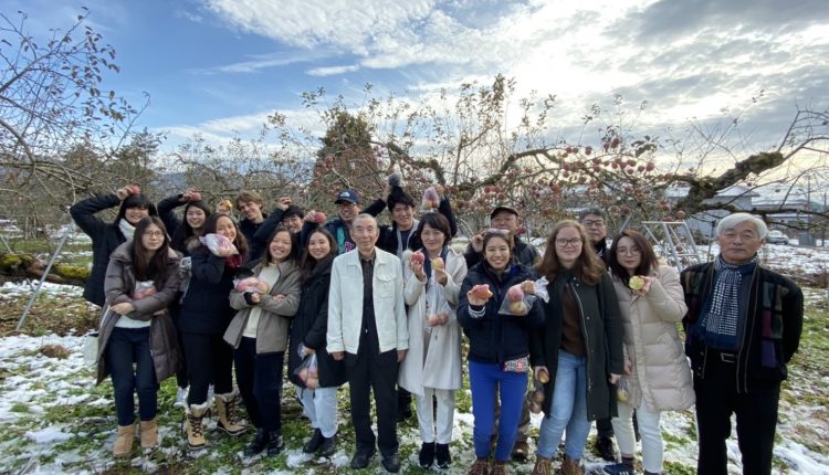 Our class picking apples in Yamagata